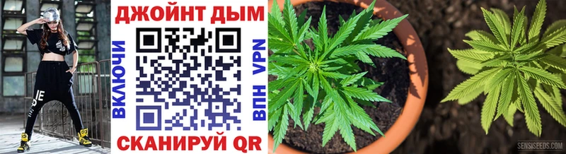 Где найти наркотики Суздаль A PVP  АМФ  Галлюциногенные грибы  Гашиш  Кокаин  МЕФ 